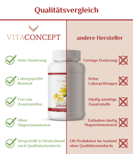 Lade das Bild in den Galerie-Viewer, Johanniskraut