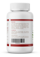 Lade das Bild in den Galerie-Viewer, Sägepalme inklusive Kürbiskern