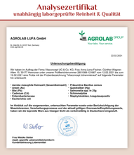 Lade das Bild in den Galerie-Viewer, Johanniskraut