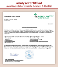 Lade das Bild in den Galerie-Viewer, Salbei