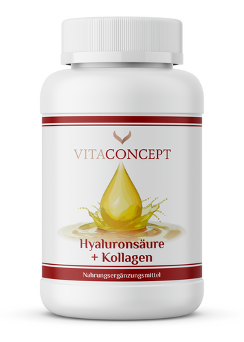 Hyaluronsäure + Kollagen Dose Vitaconcept